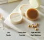Bean Travel Kit