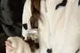 Pajama Set: Stand Collar Dotted Fleece Zip Jacket + High Waist Straight Leg Pants