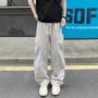 Drawstring Waist Plain Straight Leg Cargo Pants