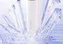4 In 1 Facial Beauty Device