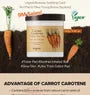 Carrot Carotene Calming Water Pad Mini