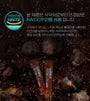 Barun Red Ginseng Black Garlic Stick
