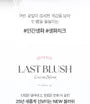 Last Blush 2025 Version - 15 Colors