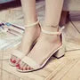 Ankle Strap Chunky Heel Sandals