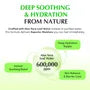Aloe PDRN Calming Toner